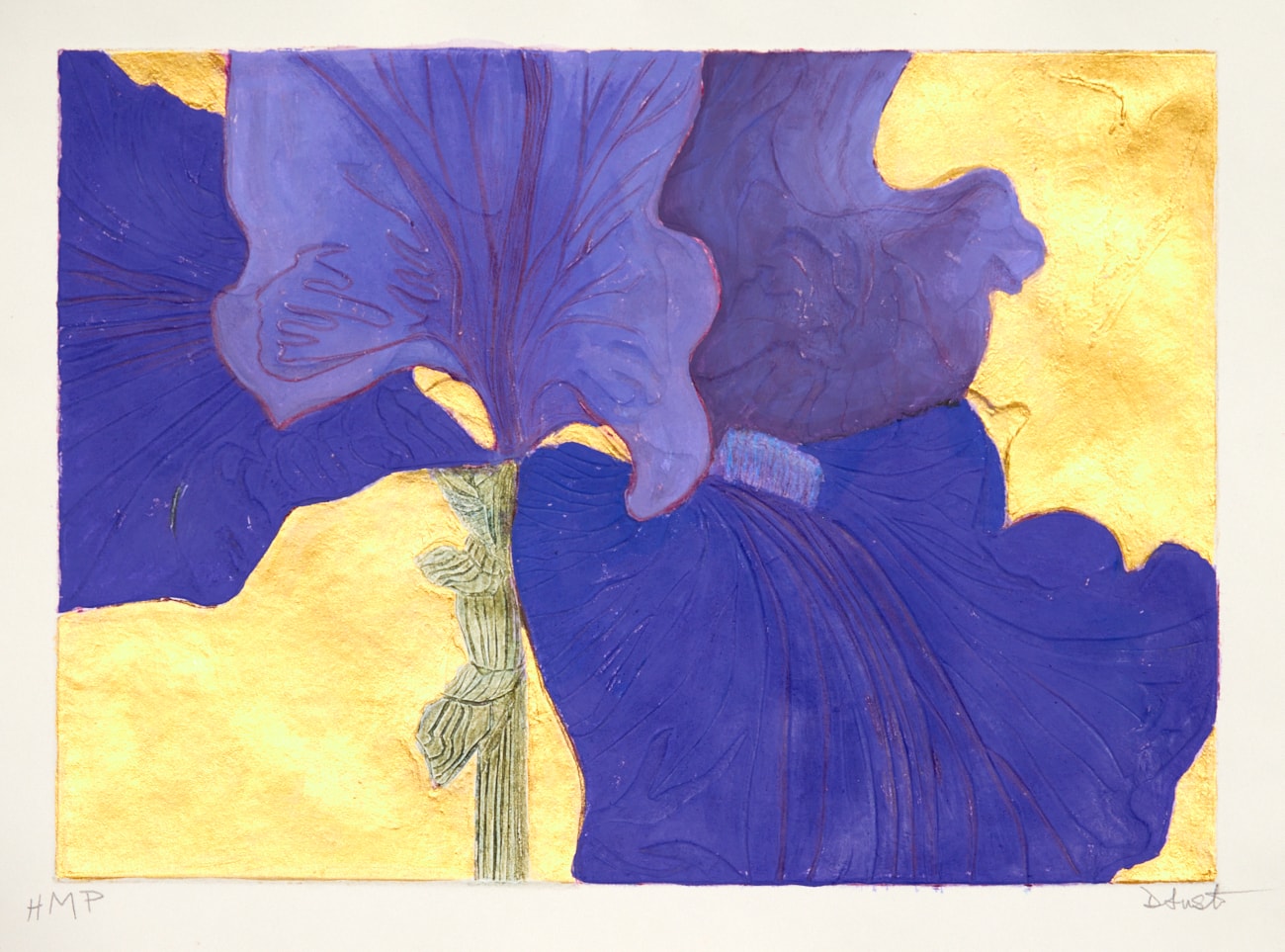 Iris Eighteen